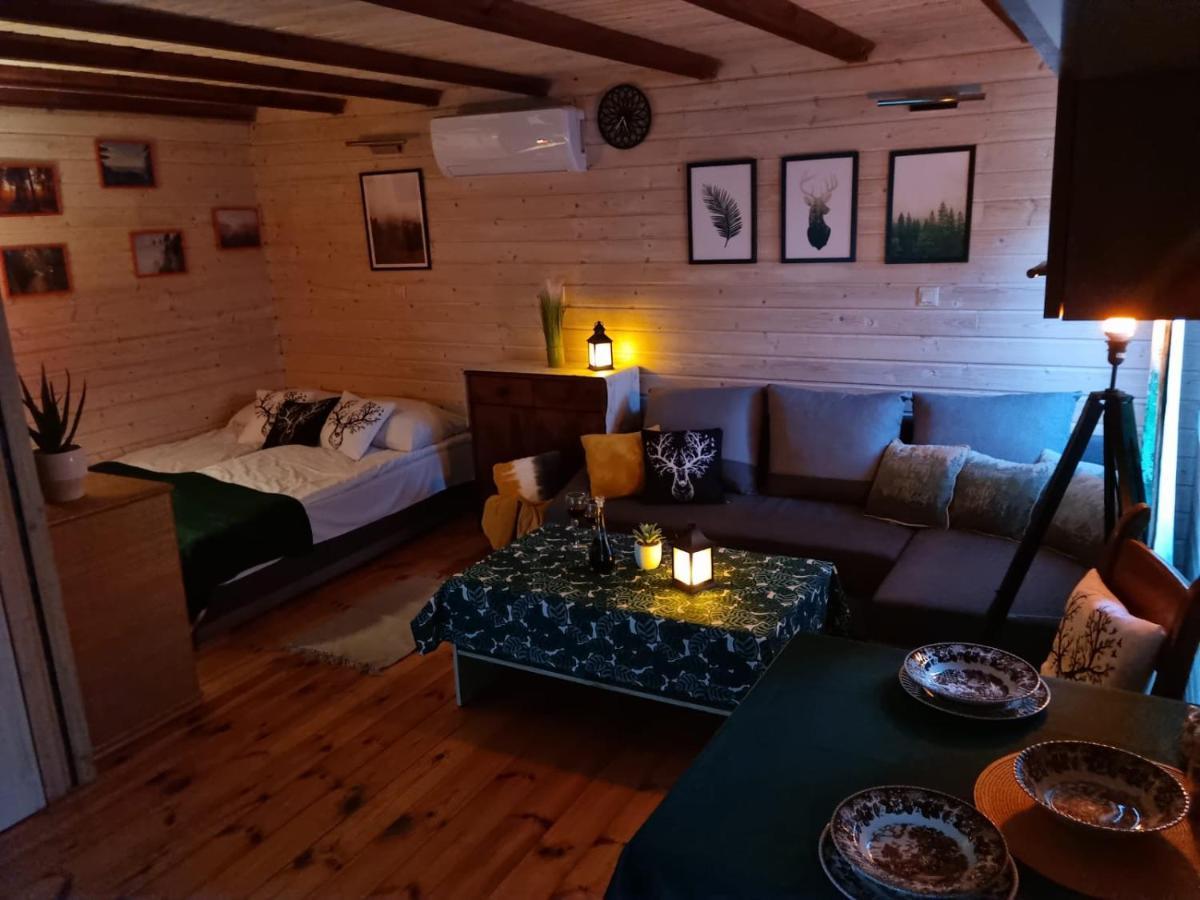 Ostoja Karkonoska Villa Podgórzyn Buitenkant foto