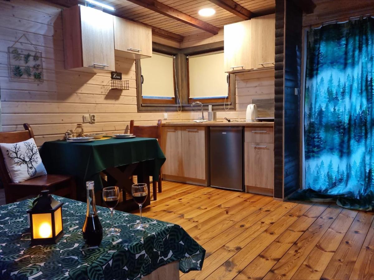 Ostoja Karkonoska Villa Podgórzyn Buitenkant foto